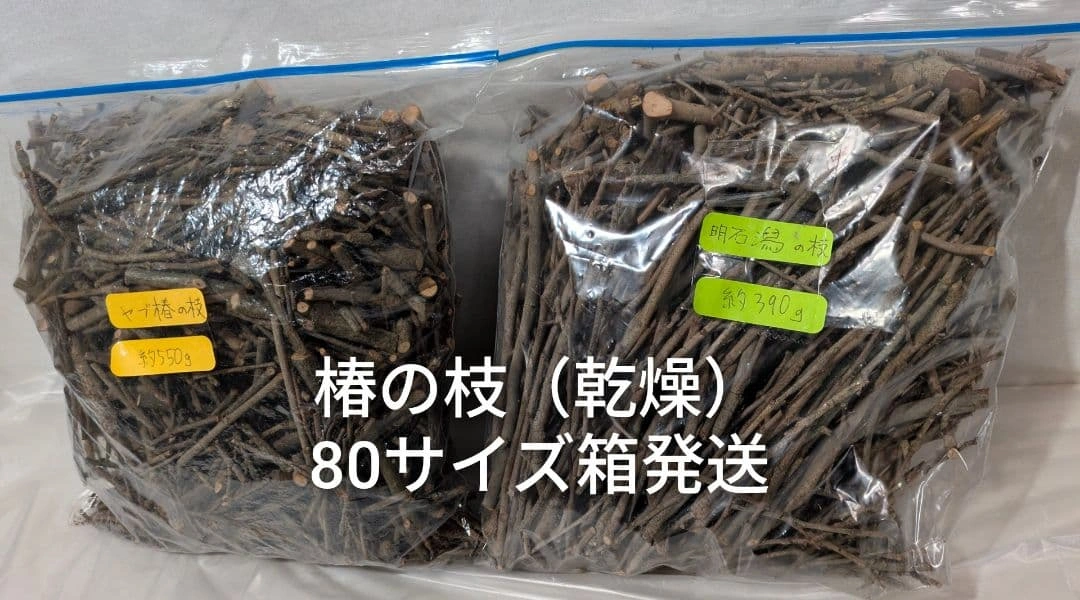 椿の枝 乾燥 かじり木 ソロストーブ向け 焚き付け 焚き火