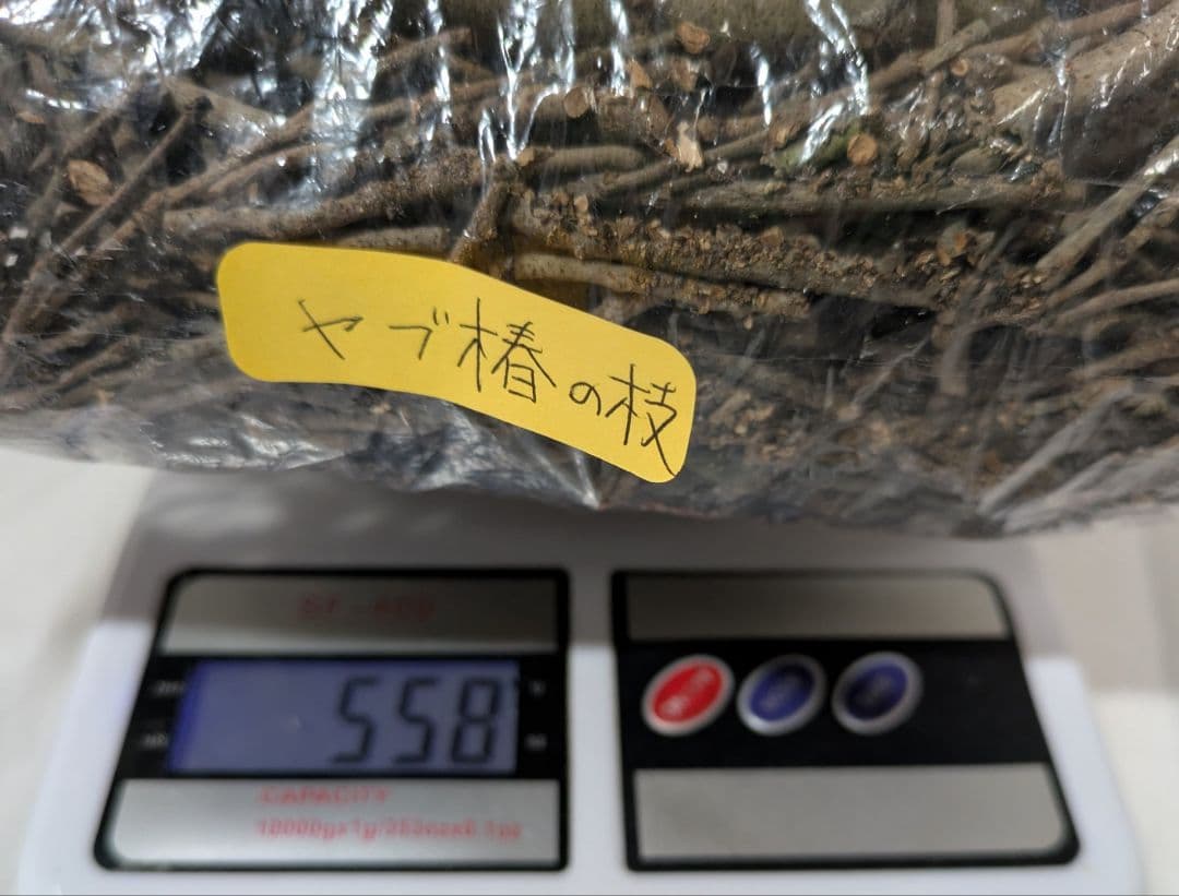 椿の枝 乾燥 かじり木 ソロストーブ向け 焚き付け 焚き火の写真2枚目