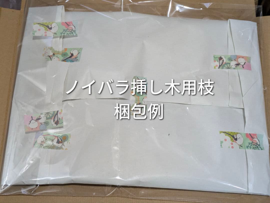 トゲあり ノイバラ 挿し木用枝 約15cm×6本 +おまけの写真3枚目