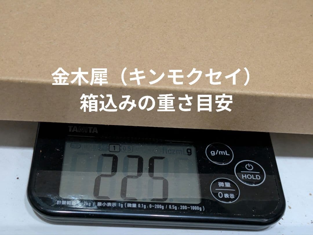 金木犀 キンモクセイ 葉のみ ペットの餌 草木染めの写真2枚目