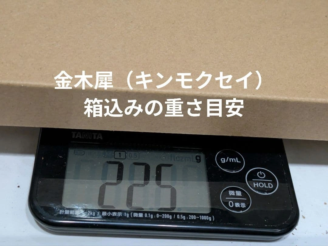 金木犀 キンモクセイ 葉のみ ペットの餌 草木染めの写真2枚目