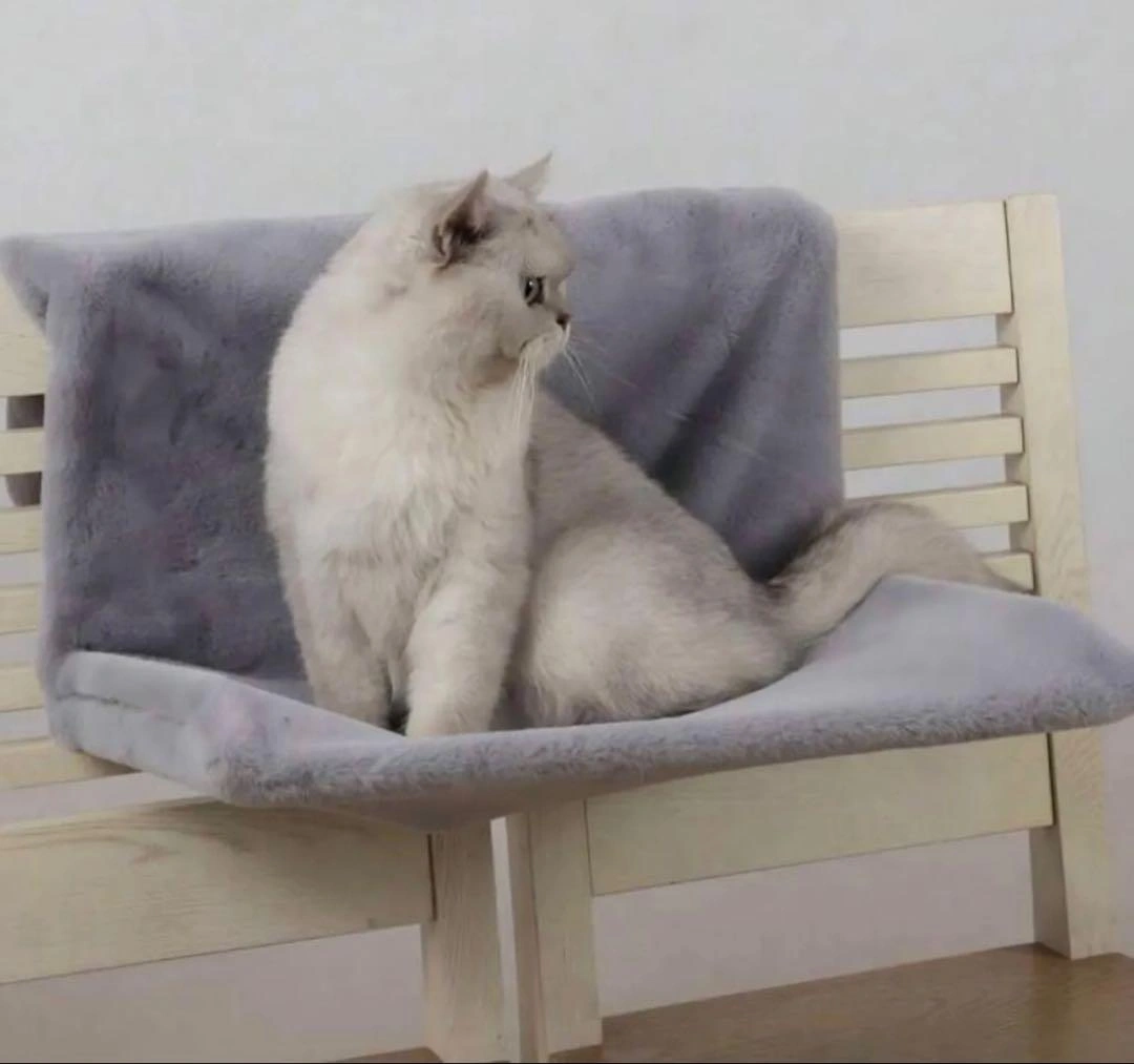 猫 ハンモック ペットベッド 窓 ふわふわ オールシーズン グレー 猫窓ベッドの写真5枚目