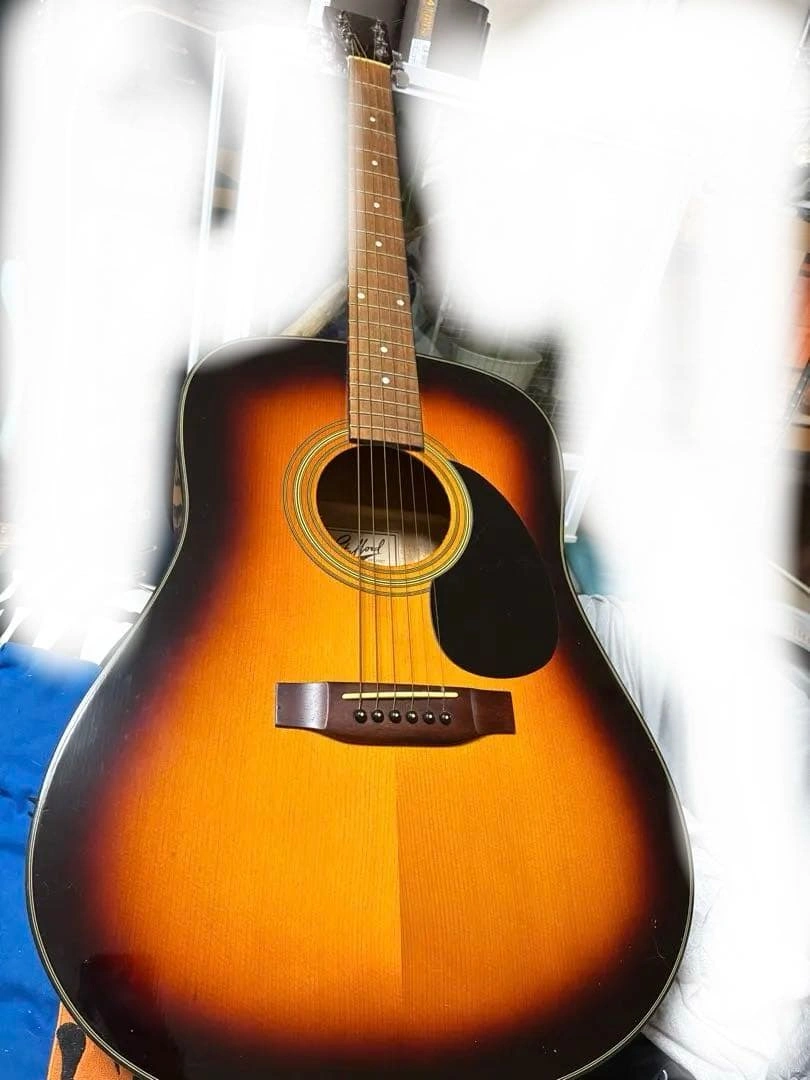 Stafford アコースティックギター SF200D-BS