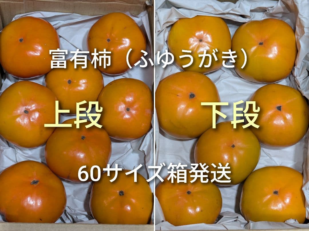 富有柿 ふゆうがき 完全甘柿 15個 60サイズ箱渡し