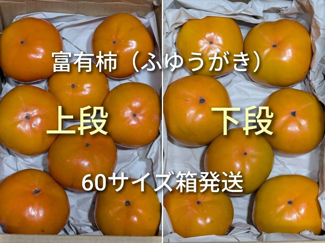 富有柿 ふゆうがき 完全甘柿 15個 60サイズ箱渡し