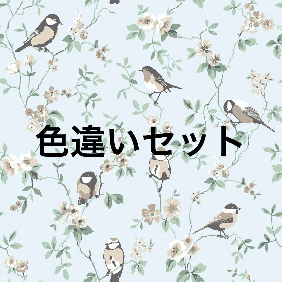 セットBORASTAPETER FALSTERBO 輸入壁紙 輸入クロス 鳥と花