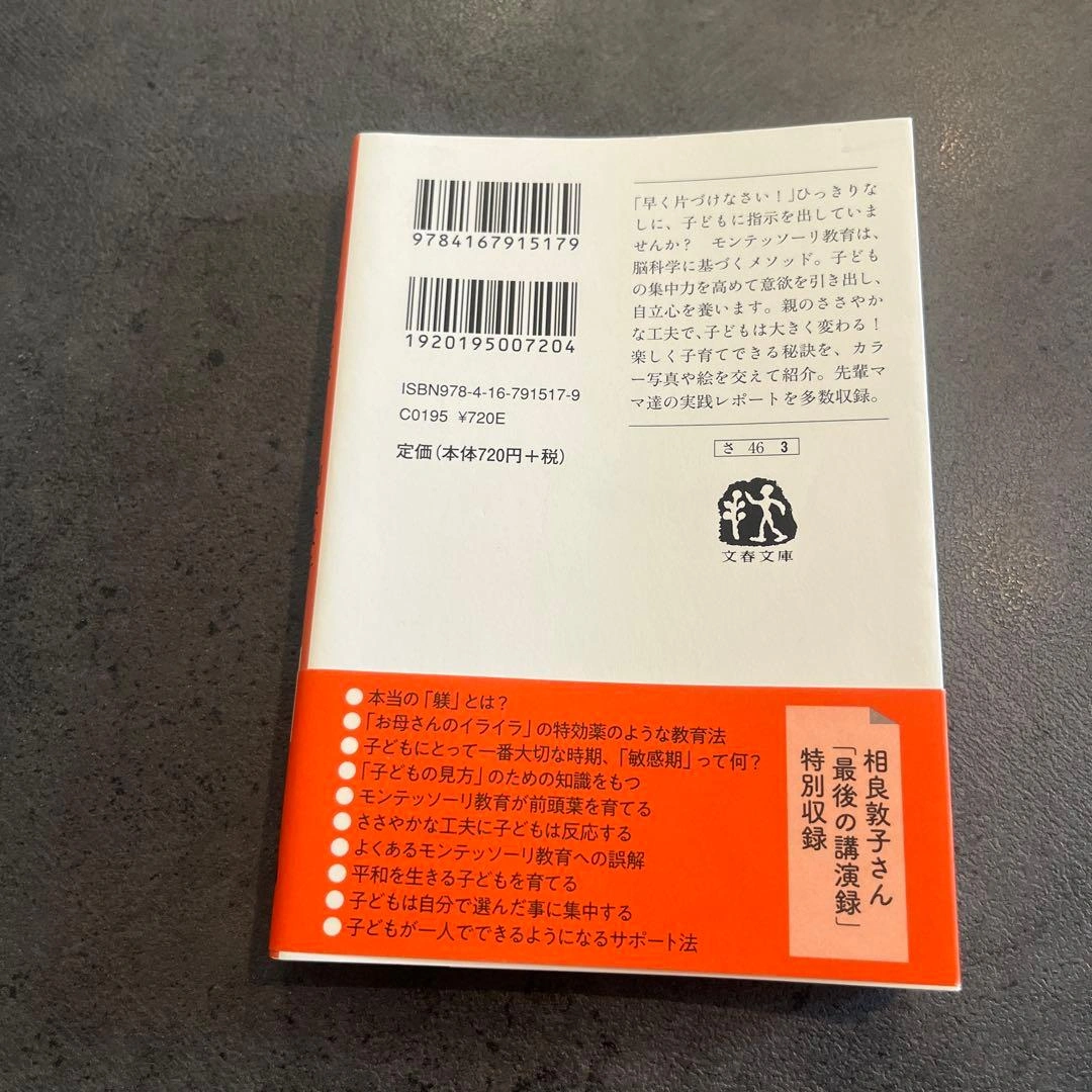 【未使用】育児本 子育て本 お母さんの工夫 モンテッソーリ教育を手がかりとしての写真2枚目