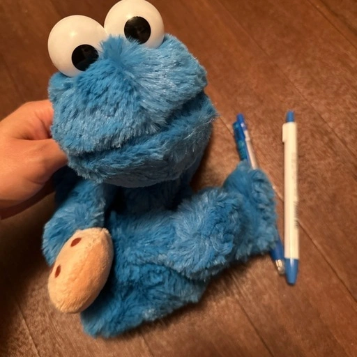 【売ります】クッキーモンスターペンケースとペンセットの写真2枚目