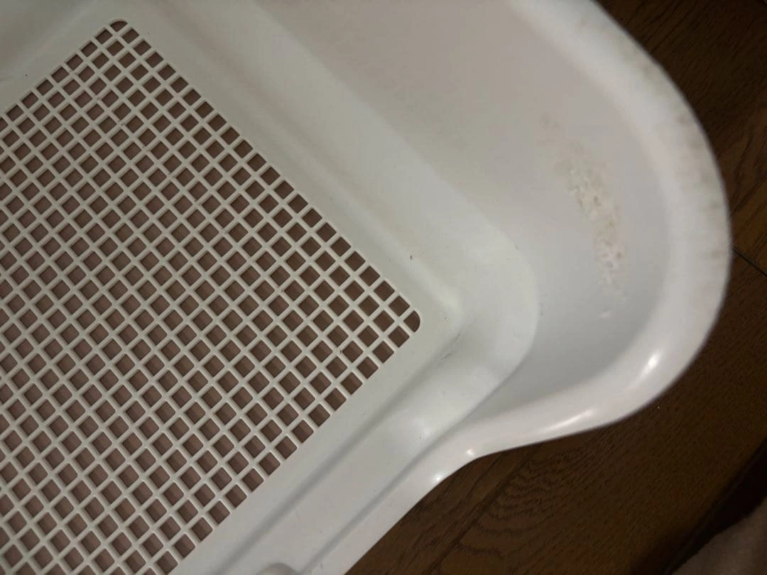 リッチェル お掃除簡単ステップ壁付トイレの写真6枚目