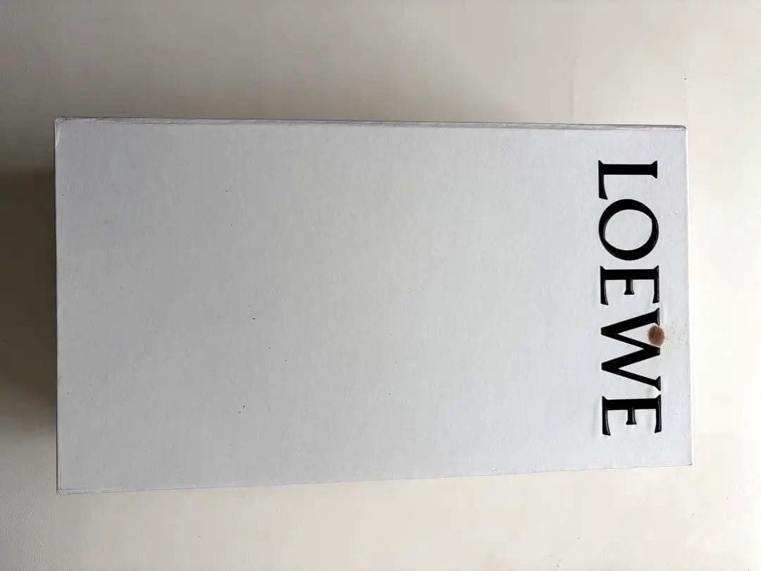 LOEWE ロエベ　ゲート フラットミュール　ブラックの写真4枚目
