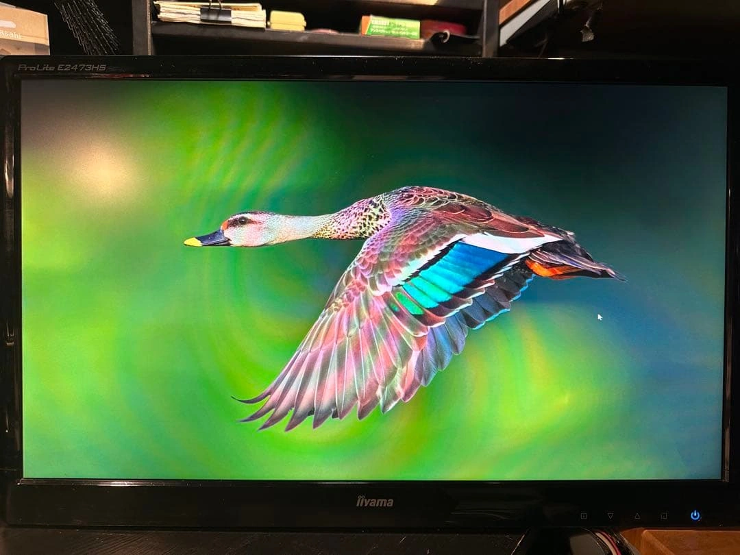 iiyama ProLite E2473HS 24インチ 液晶モニター 本体