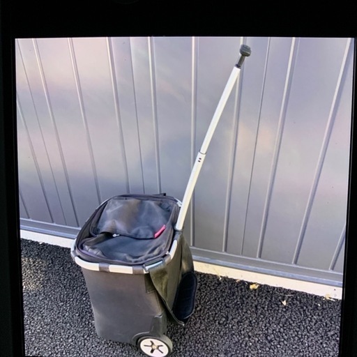 ライゼンタール　キャリーバッグ