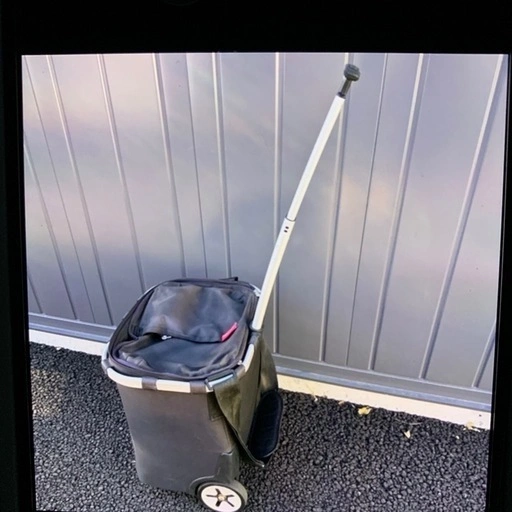 ライゼンタール キャリーバッグ