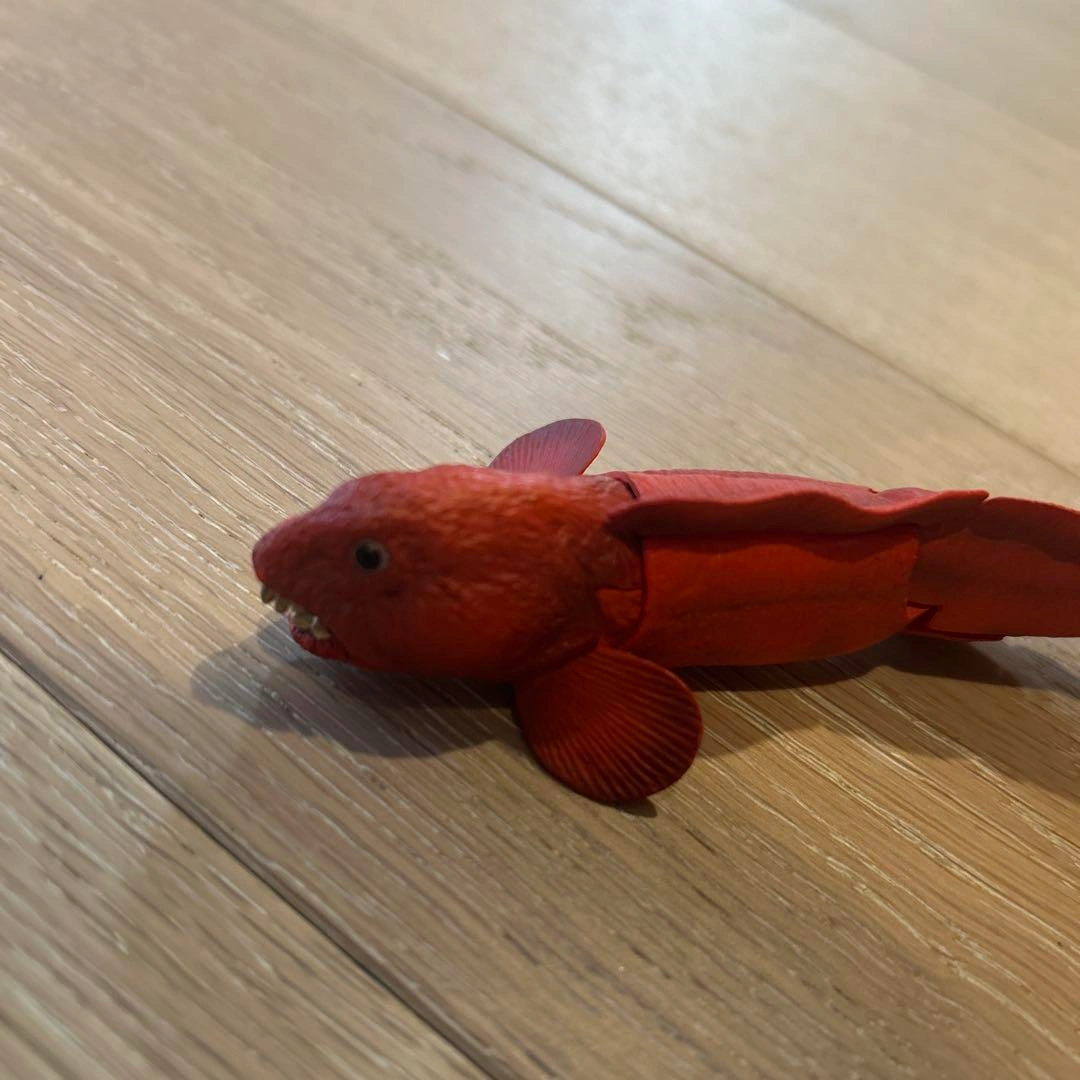 あそべる生物フィギュアシリーズ モンスターフィッシュ 日本の海の怪物たちの写真2枚目