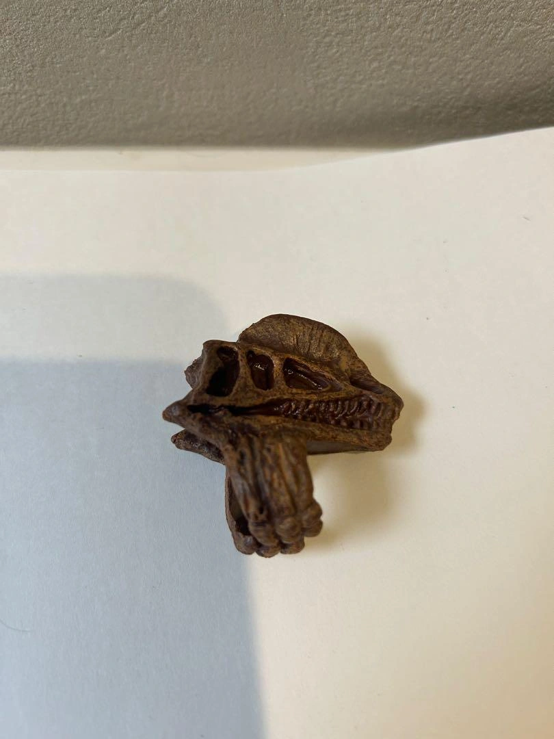 恐竜の頭部模型 茶色 プラスチック製 子供用指輪の写真2枚目