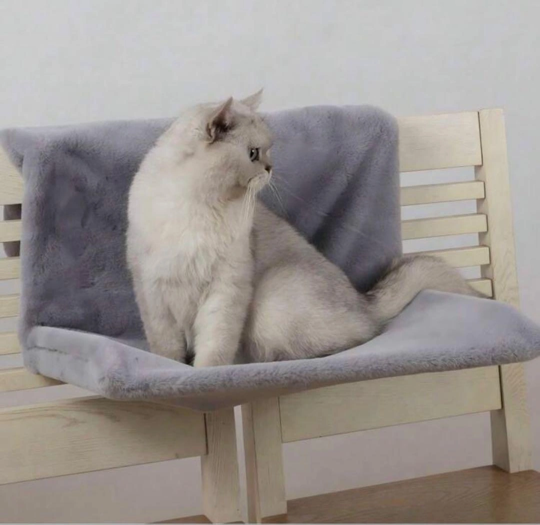 ふわふわ 猫 ハンモック ねこの写真4枚目