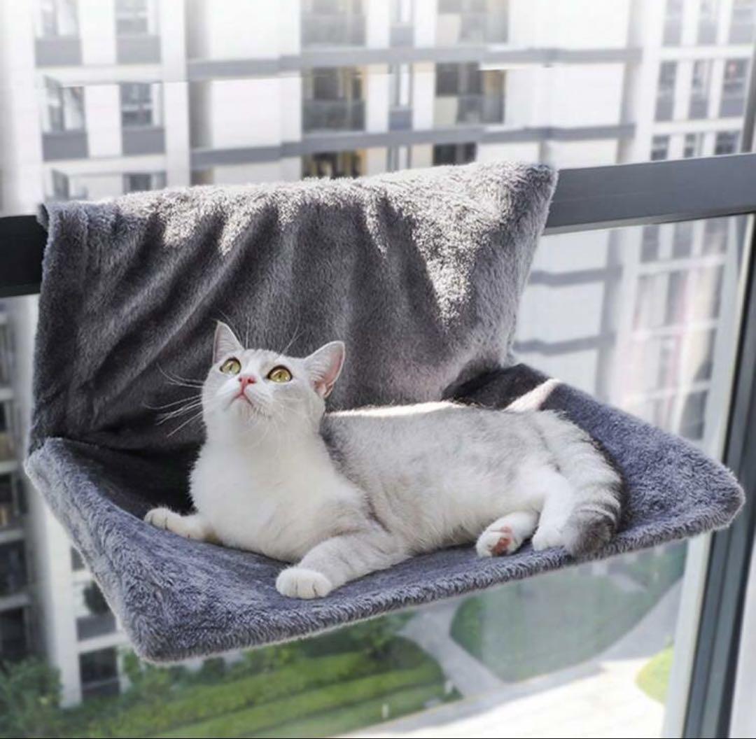 ふわふわ 猫 ハンモック ねこの写真5枚目