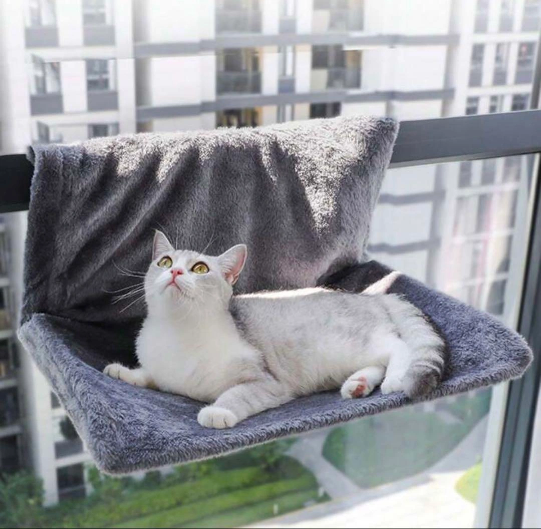 ふわふわ 猫 ハンモック ねこの写真5枚目