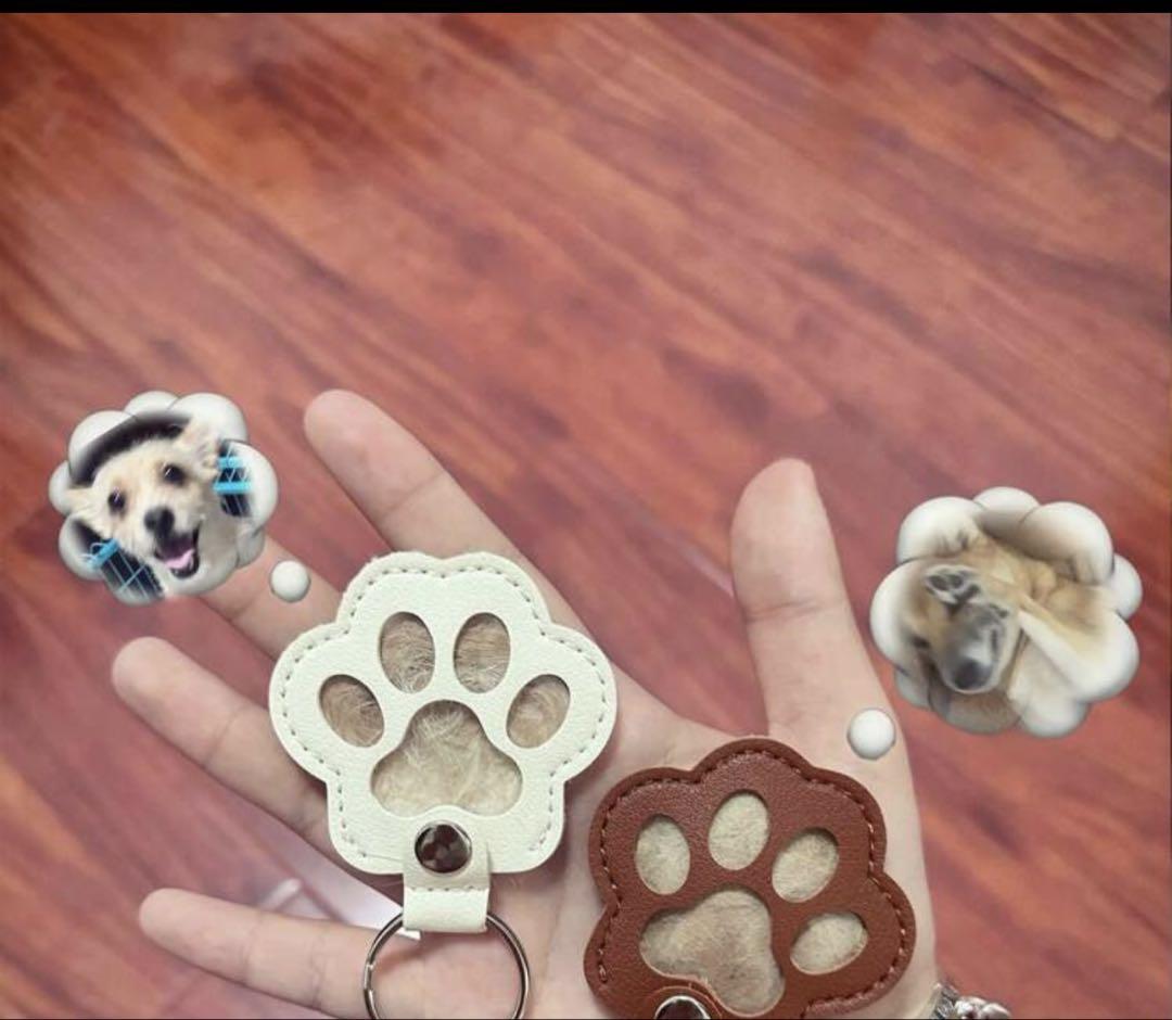 毛玉いれ キーホルダー 犬 猫 ペットの写真6枚目