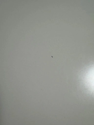 LOWYA ダイニングテーブル セットの写真4枚目