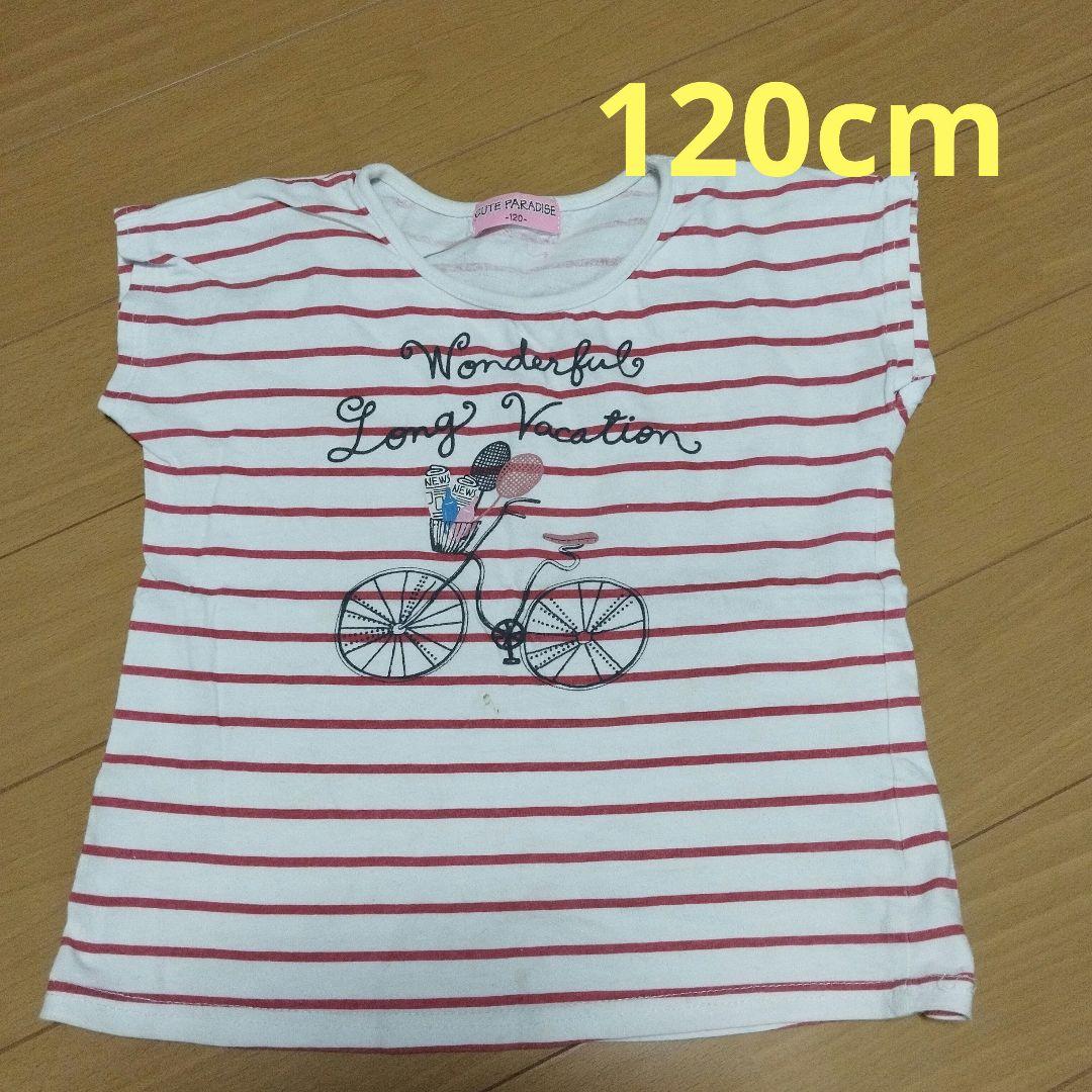 120cm　半袖　トップス　Tシャツ
