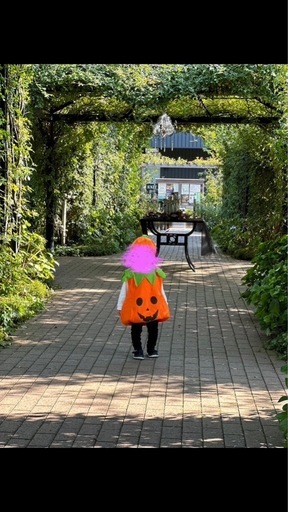 キッズ　ハロウィン仮装　かぼちゃ　80〜110cmの写真4枚目
