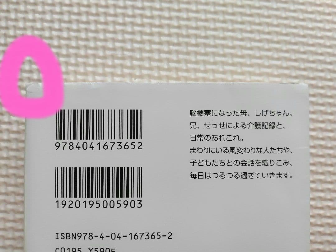 銀色夏生　ばらとおむつの写真5枚目
