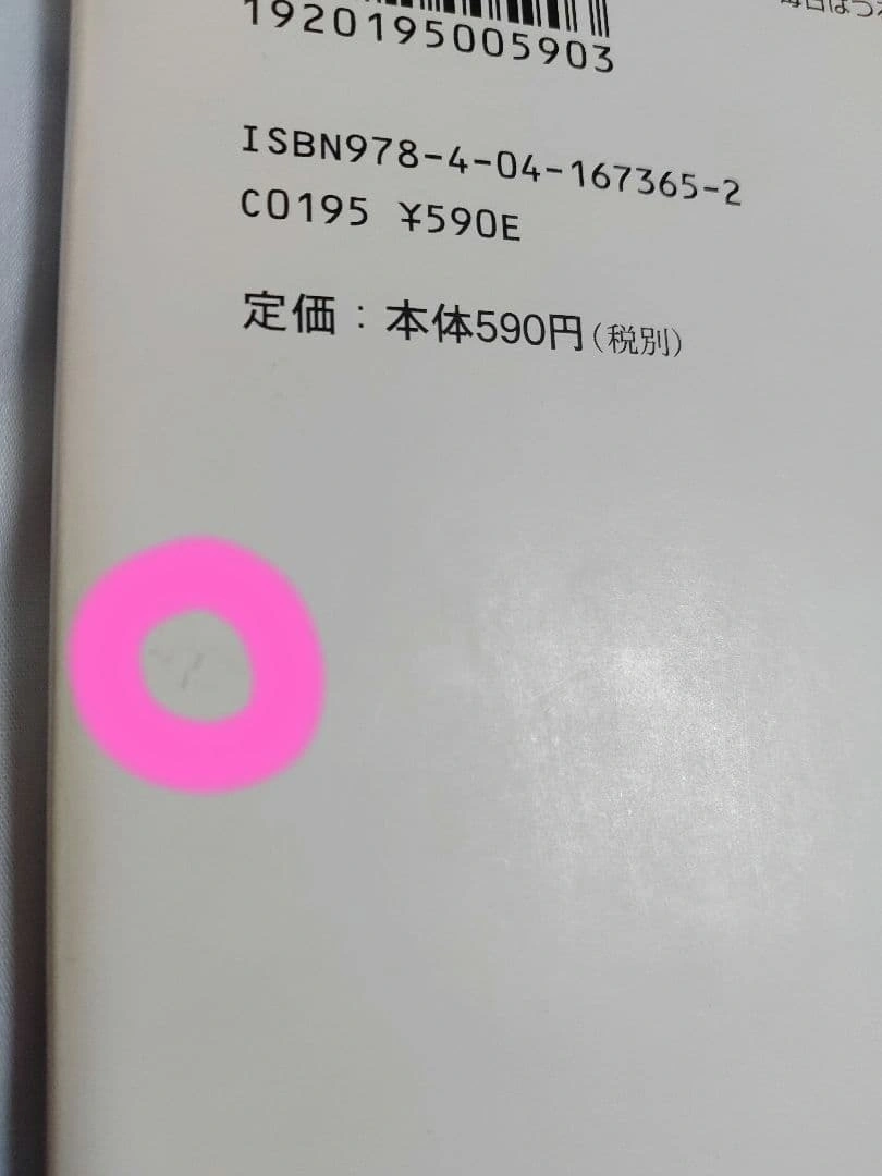 銀色夏生 ばらとおむつの写真7枚目