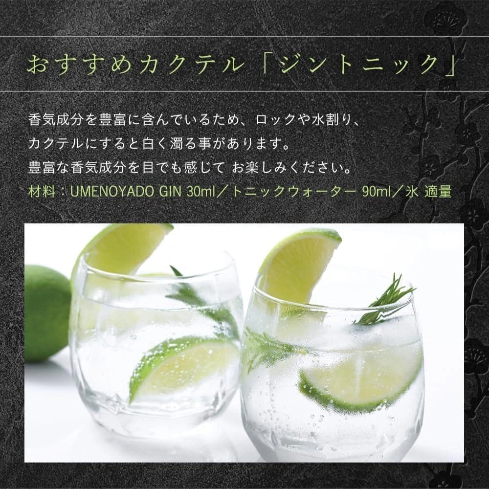 梅乃宿 ジン クラフト ジン 酒 リキュール ボタニカル 日本酒の写真6枚目