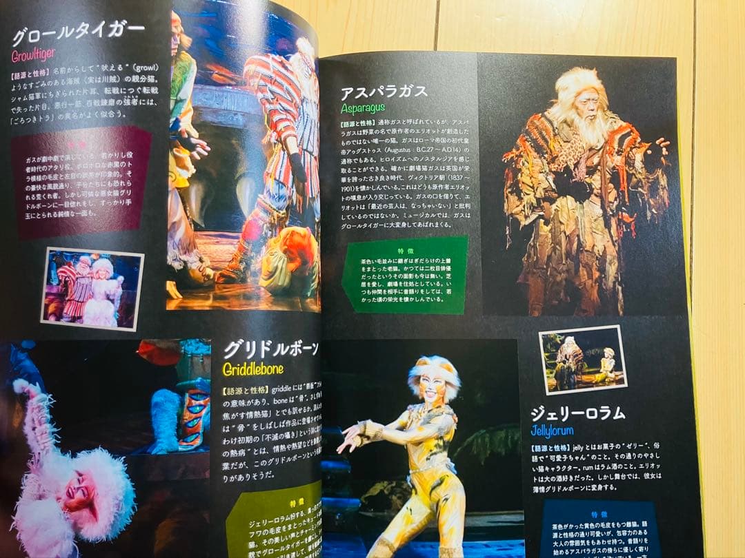CATS パンフレット 2018東京公演の写真7枚目
