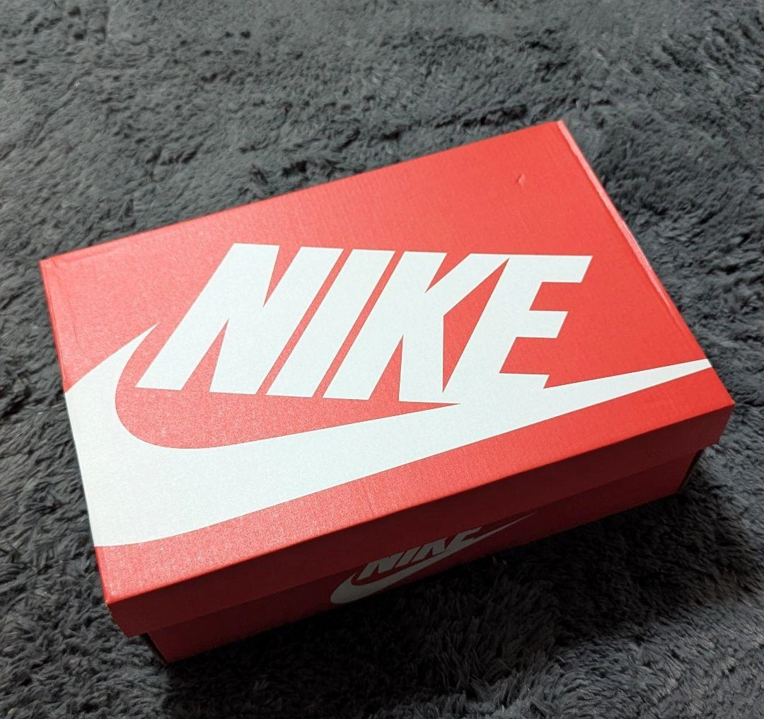 【新品未使用】大きいサイズ NIKE ナイキ ダンク LOW 29の写真7枚目