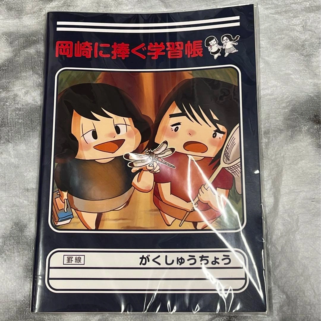 岡崎に捧ぐ がくしゅうちょう2冊セットの写真3枚目