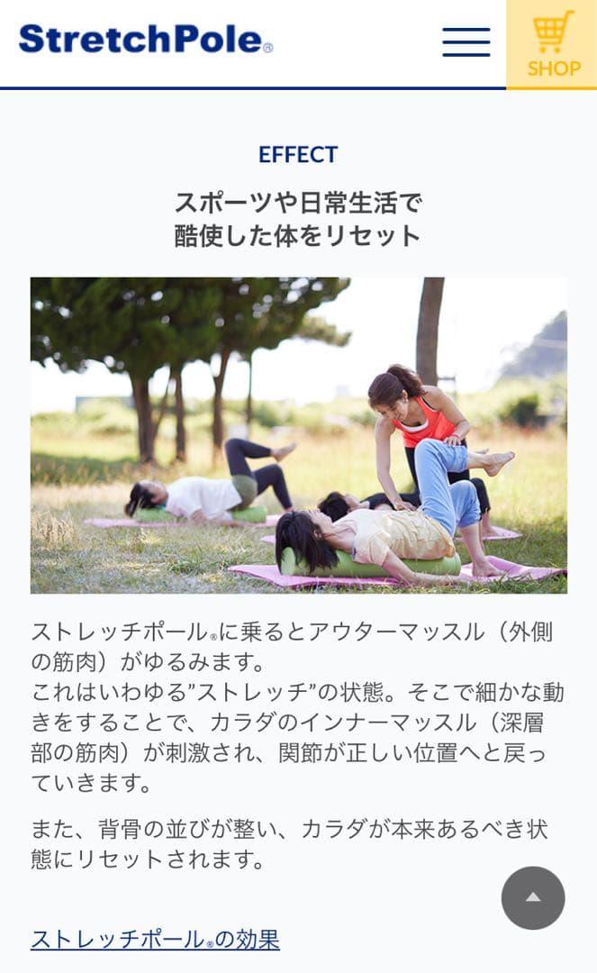 ストレッチポール ハーフの写真3枚目