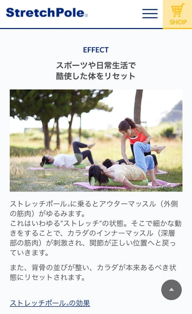 ストレッチポール ハーフの写真3枚目