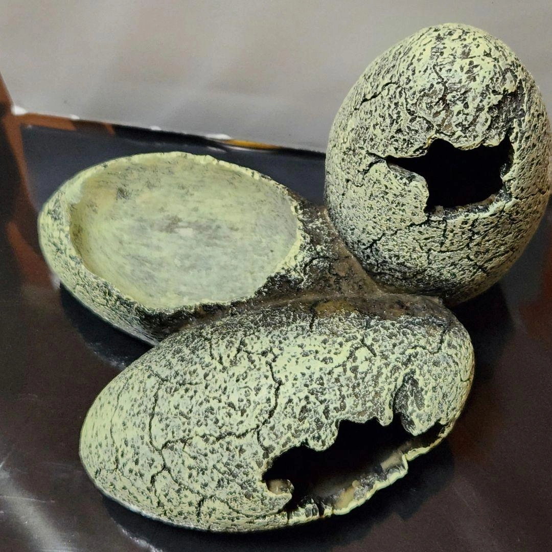 週末限定 値下げ 装飾用ひび割れ卵 爬虫類 シェルターの写真3枚目