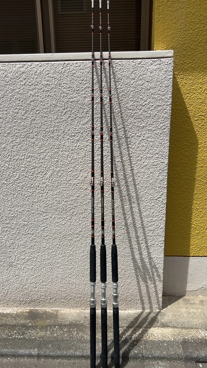 Penn Rod 3160RS 6/0 6'6" 40-60 Lb 他合計3本
