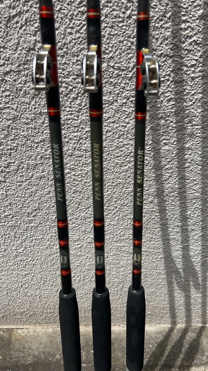Penn Rod 3160RS 6/0 6'6" 40-60 Lb 他合計3本の写真2枚目