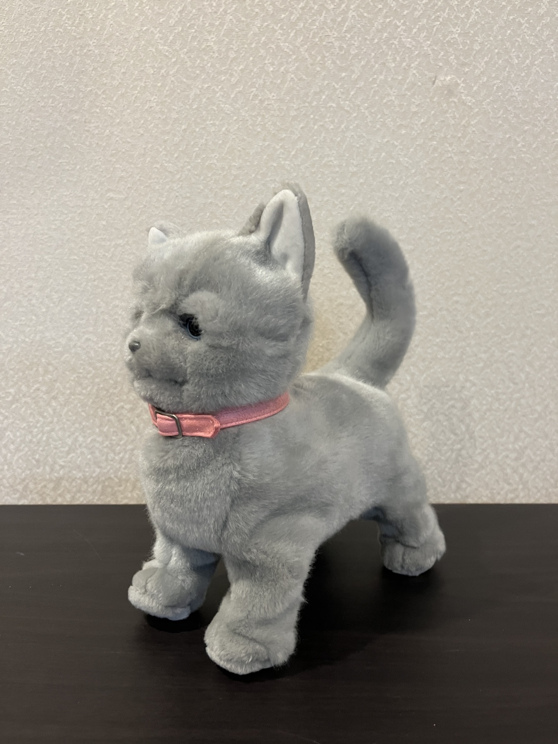 グレー ねこ / ぬいぐるみ・おもちゃ