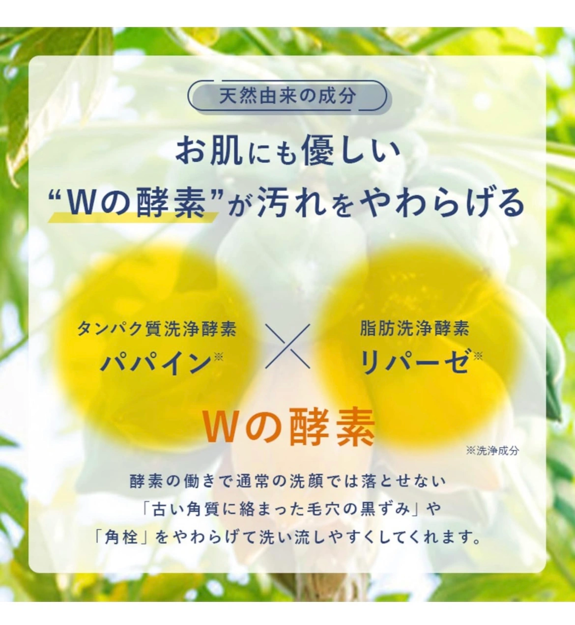 新品未使用未開封☆Cure(キュア)☆スペシャルパウダーソープの写真4枚目
