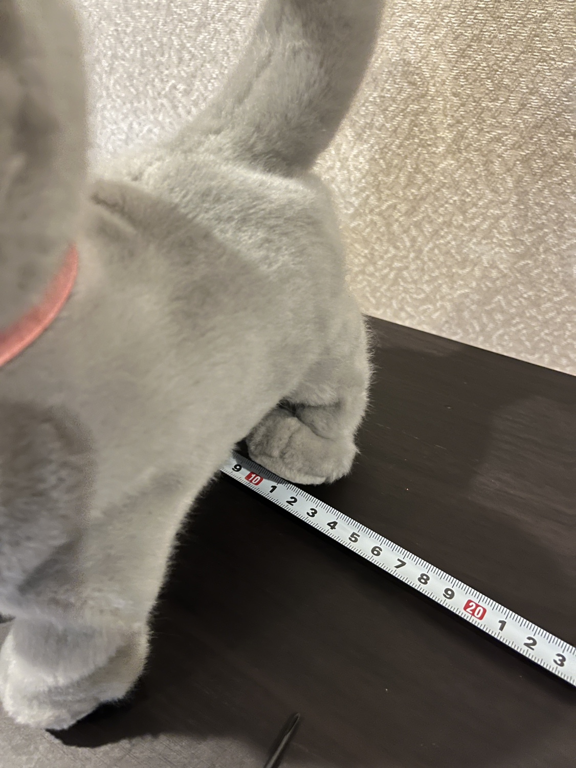 グレー ねこ / ぬいぐるみ・おもちゃの写真9枚目