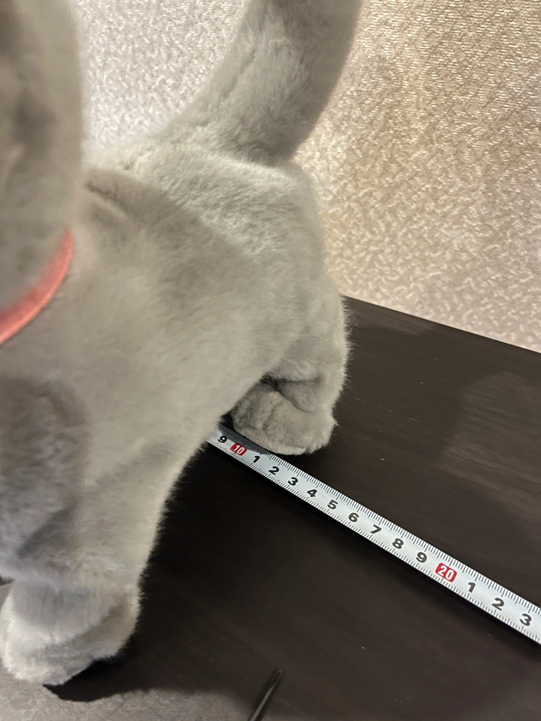 グレー ねこ / ぬいぐるみ・おもちゃの写真9枚目