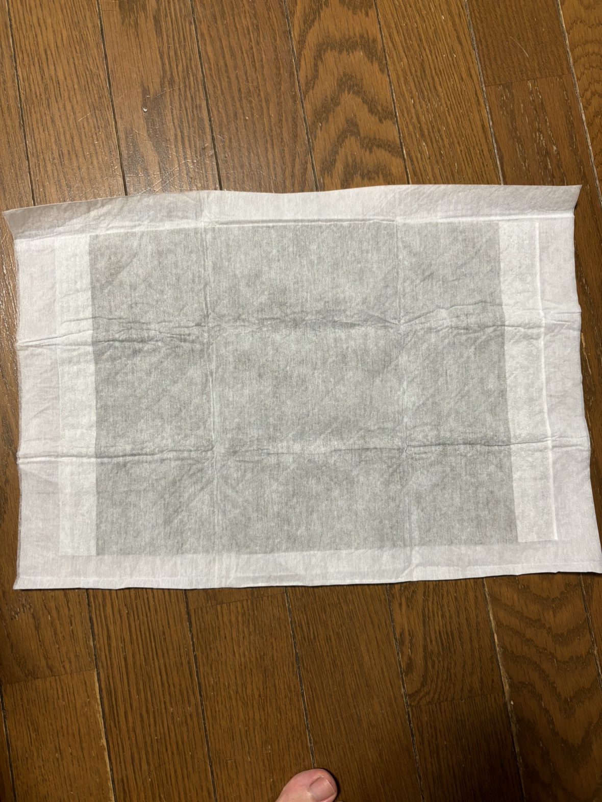 HOME'Sペットシーツの写真4枚目