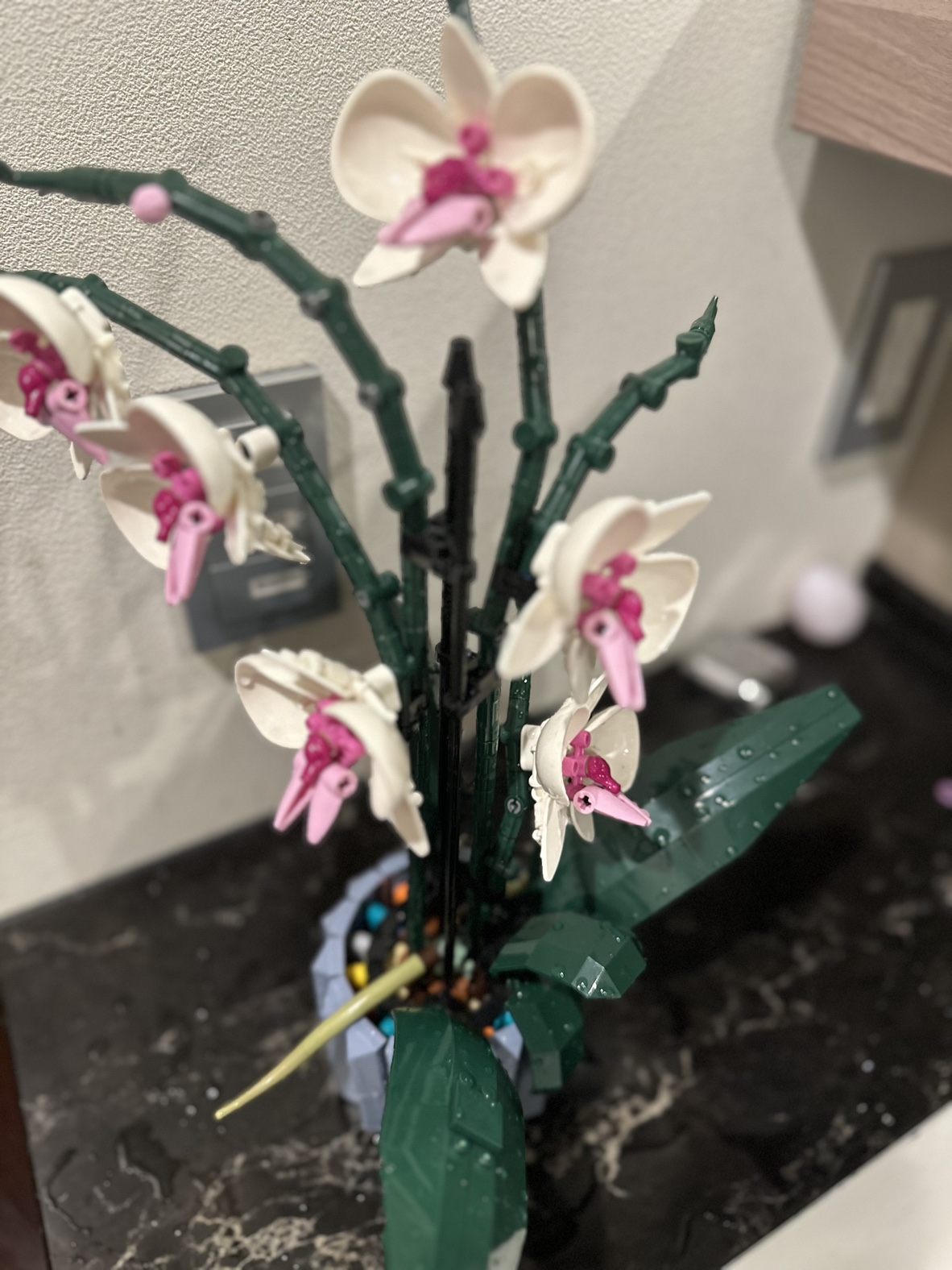 シンビジウム 積み木　DIY