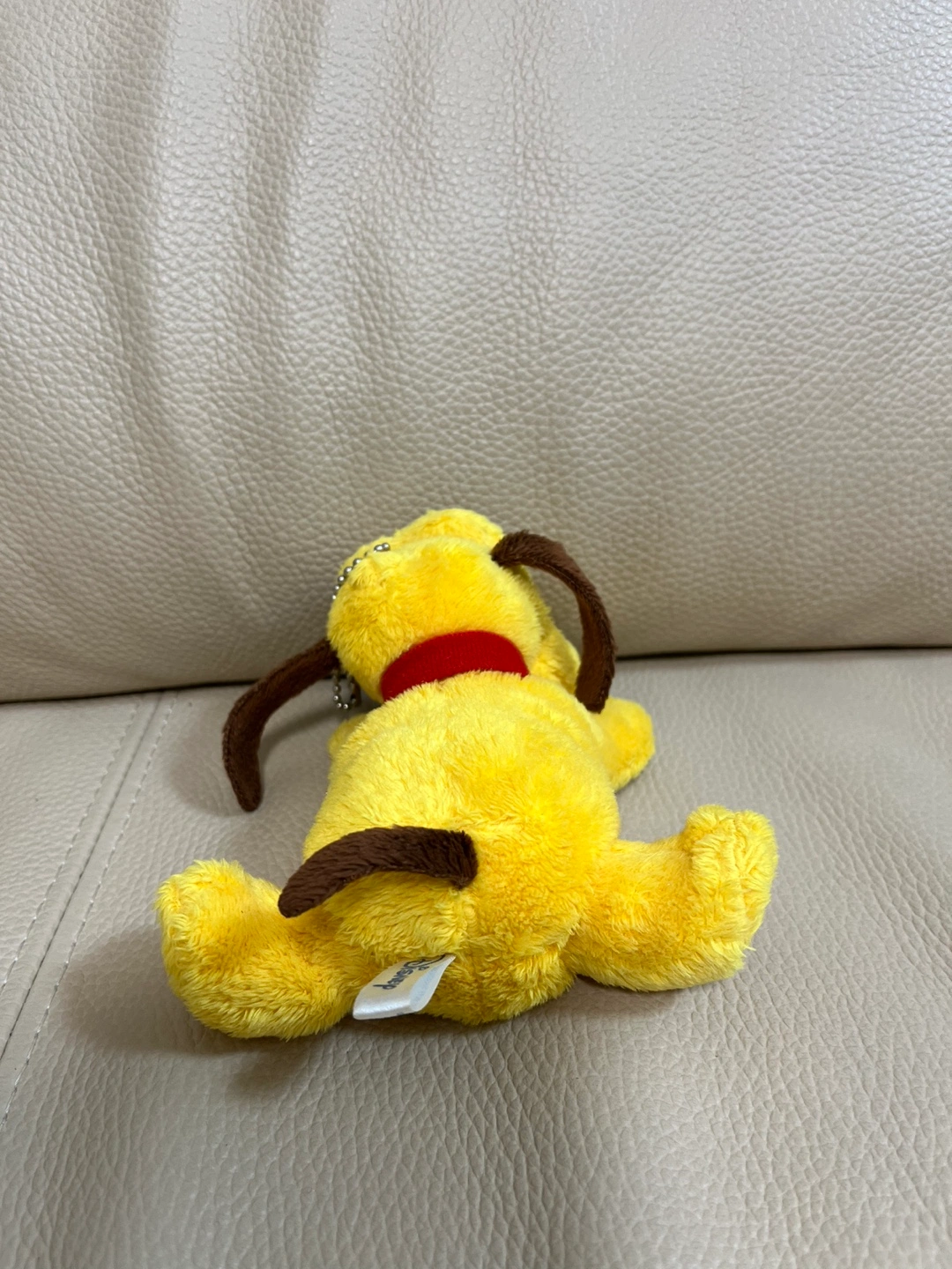 ディズニー プルートぬいぐるみの写真2枚目