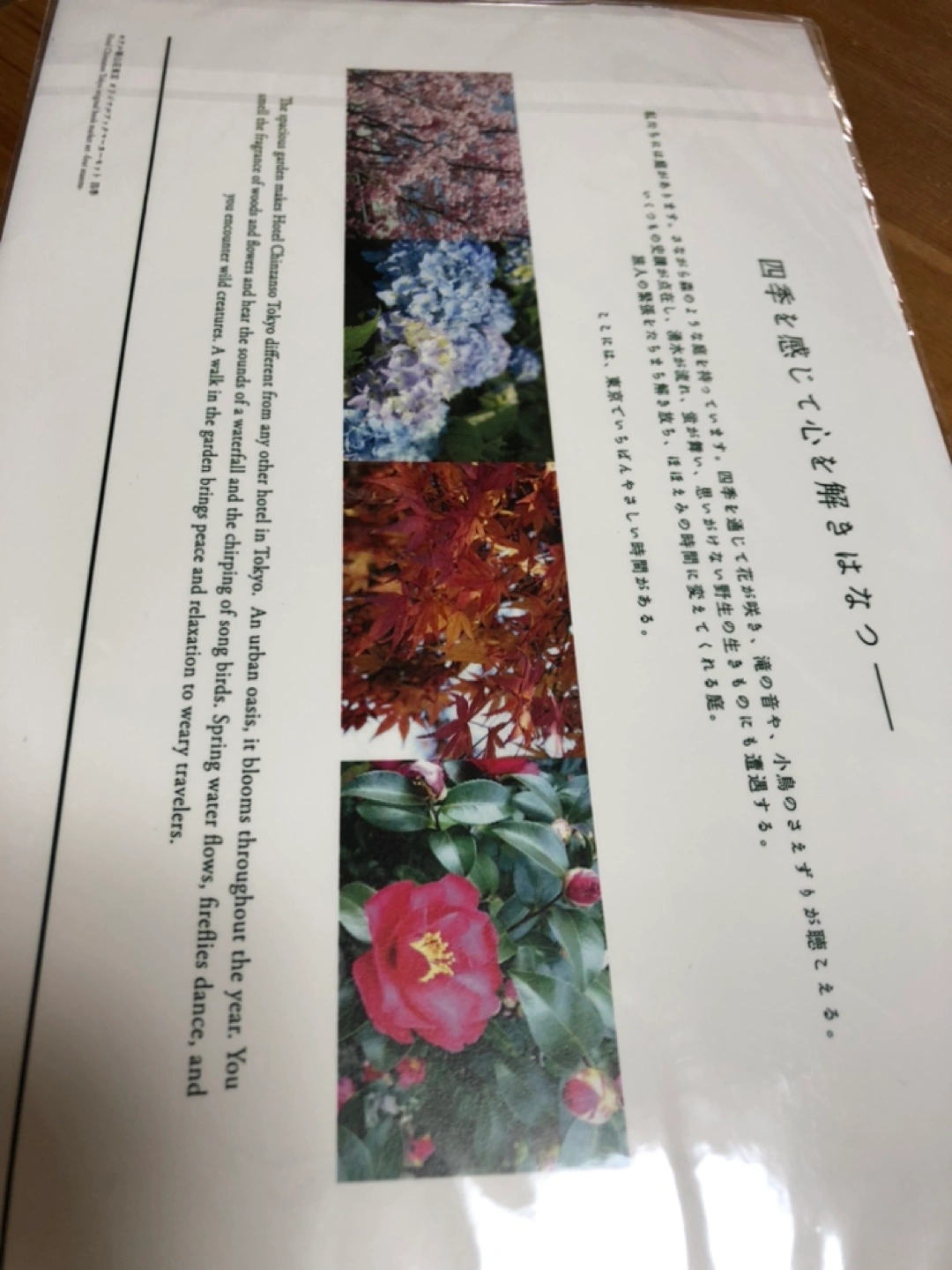 しおり 椿山荘の写真2枚目