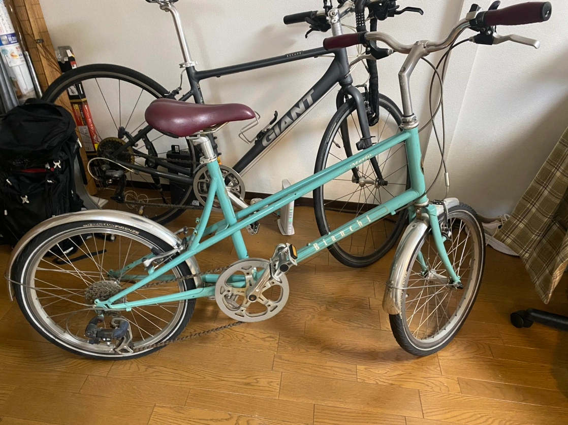 Bianchi MINIVELO 7 LADY ビアンキ ミニベロ レディ