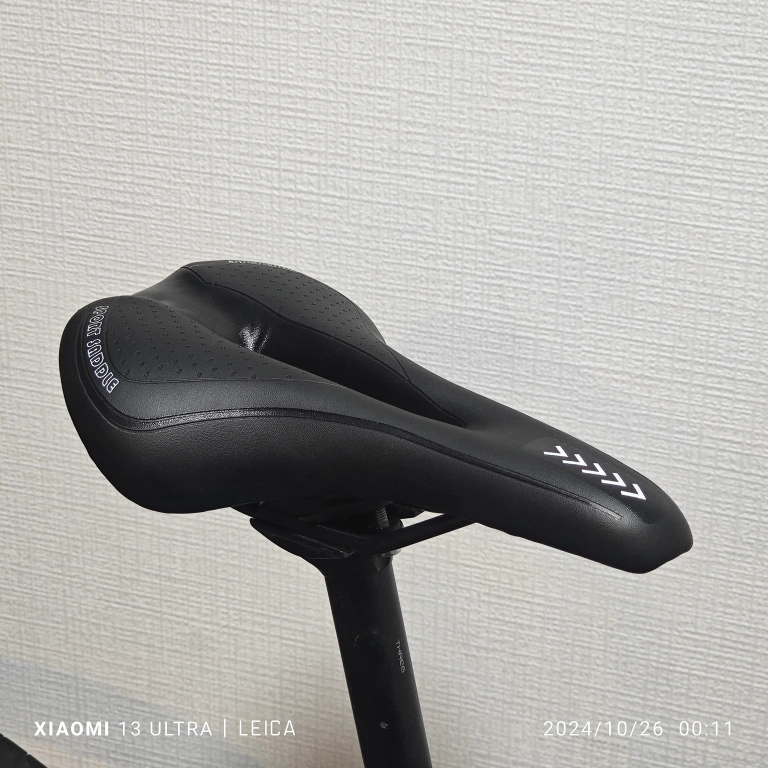 整備済!LOUIS GARNEAU ルイガノ LGS-CHASSEの写真10枚目