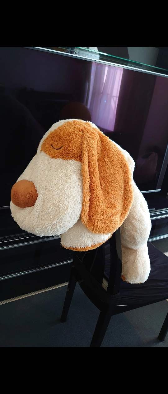 ぬいぐるみ 犬