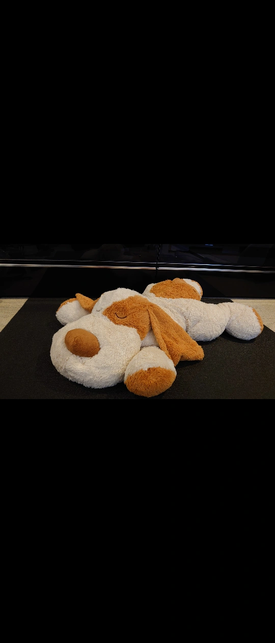ぬいぐるみ 犬の写真3枚目