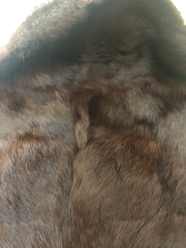 毛皮 M 黒茶の写真4枚目